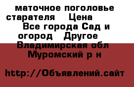 маточное поголовье старателя  › Цена ­ 3 700 - Все города Сад и огород » Другое   . Владимирская обл.,Муромский р-н